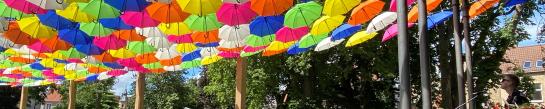Stadspark parasol